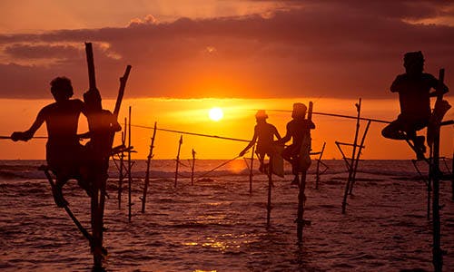 Stilt Fisherman in Sri Lanka with W15