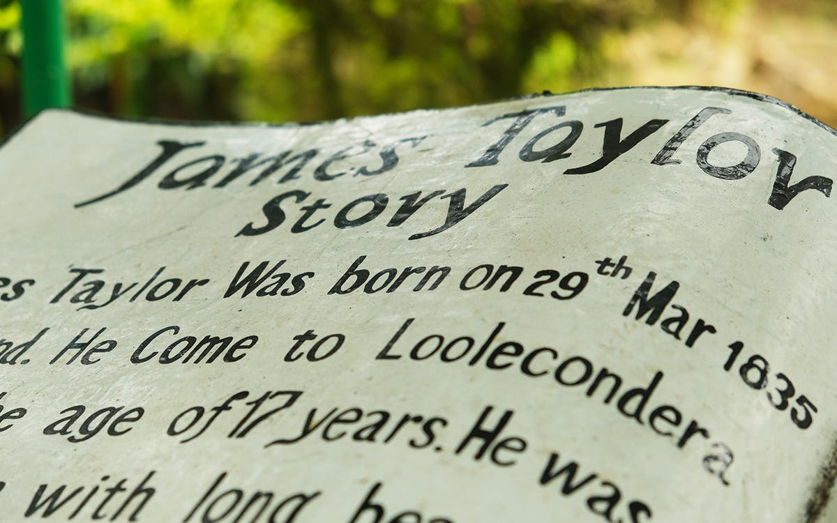 Loolkandura and the tale of James Taylor