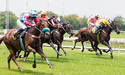 Racecourse Nuwara Eliya with W15