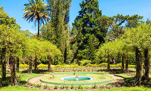 Victoria Park in Nuwara Eliya with W15